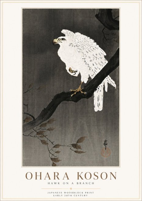 Ohara Koson Hawk on a Branch II No6 - Affiche