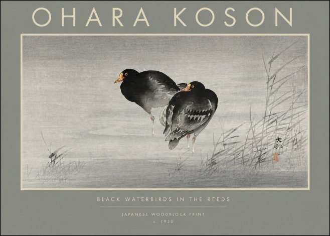 Ohara Koson Black Waterbirds in the Reeds No2 - Affiche