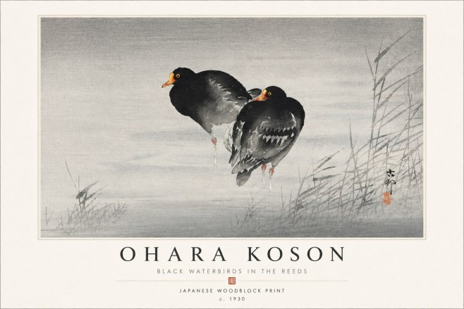 Ohara Koson Black Waterbirds in the Reeds No4 - Affiche