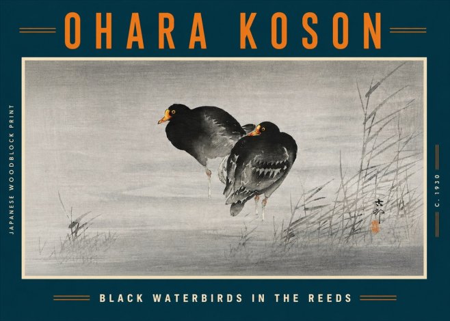 Ohara Koson Black Waterbirds in the Reeds No5 - Affiche