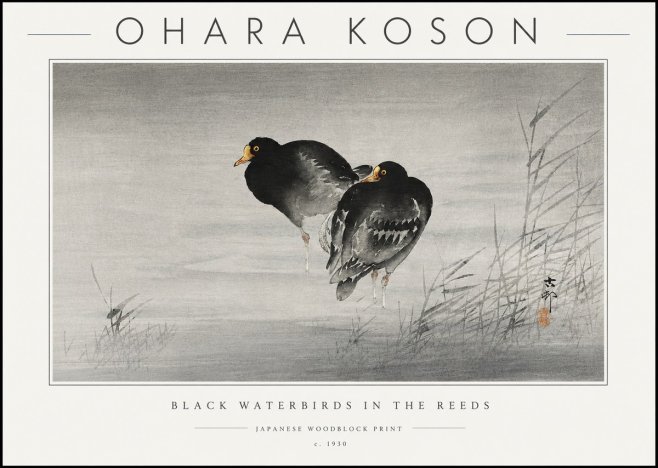 Ohara Koson Black Waterbirds in the Reeds No6 - Affiche