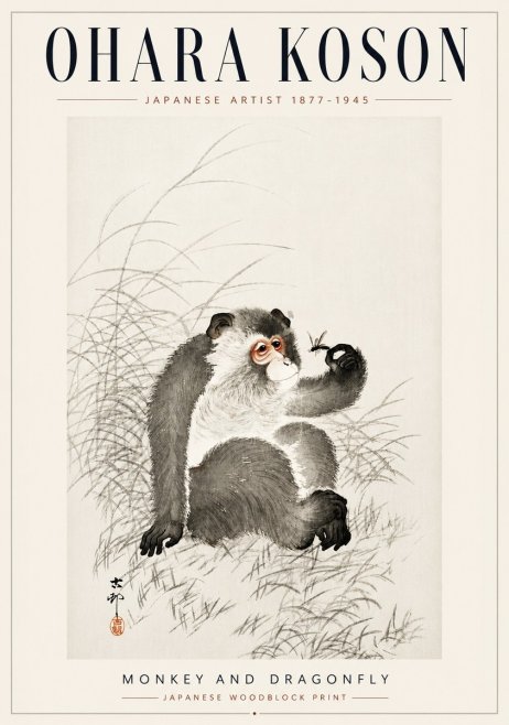 Ohara Koson Monkey and Dragonfly No5 - Affiche