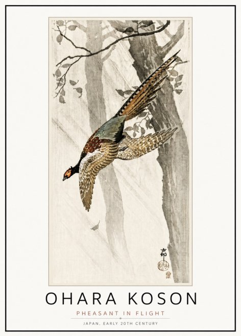 Ohara Koson Pheasant in Flight No4 - Affiche