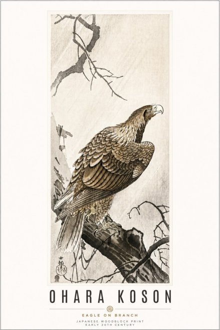 Ohara Koson Eagle on Branch No3 - Affiche