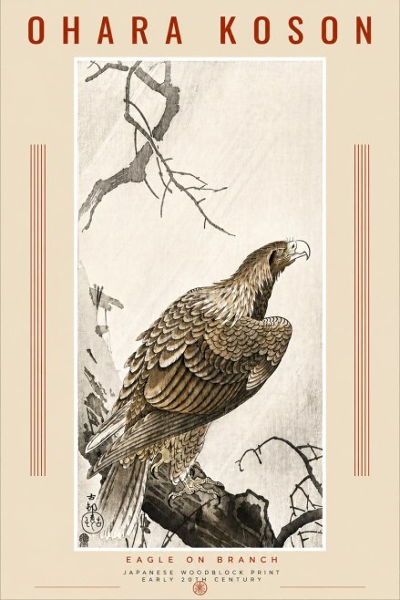 Ohara Koson Eagle on Branch No4 - Affiche