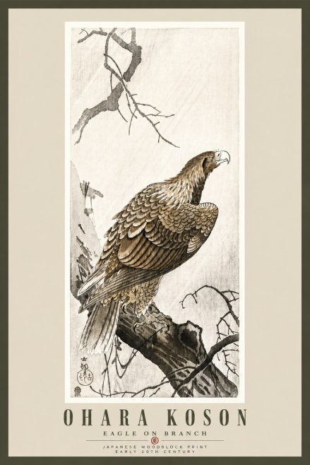 Ohara Koson Eagle on Branch No5 - Affiche