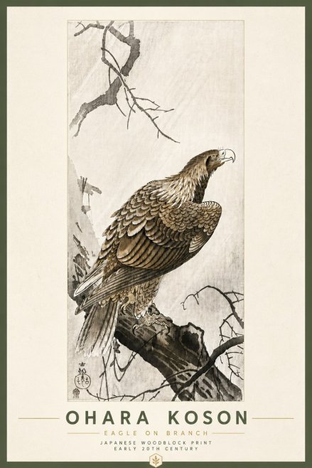 Ohara Koson Eagle on Branch No6 - Affiche