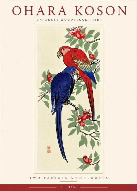 Ohara Koson Two Parrots and Flowers No4 - Affiche