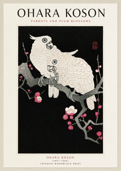 Ohara Koson Parrots and Plum Blossoms No1 - Affiche