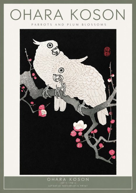 Ohara Koson Parrots and Plum Blossoms No2 - Affiche