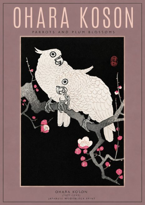 Ohara Koson Parrots and Plum Blossoms No3 - Affiche