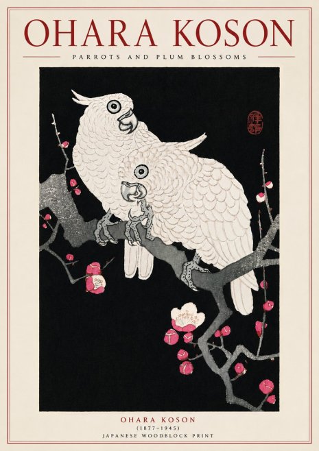 Ohara Koson Parrots and Plum Blossoms No5 - Affiche