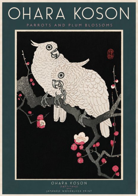 Ohara Koson Parrots and Plum Blossoms No6 - Affiche