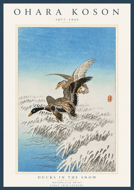 Ohara Koson Ducks in the Snow No4 - Affiche