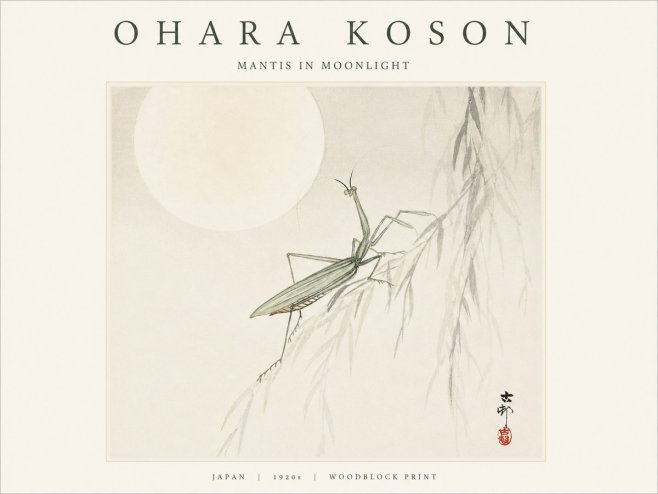 Ohara Koson Mantis in Moonlight No1 - Affiche