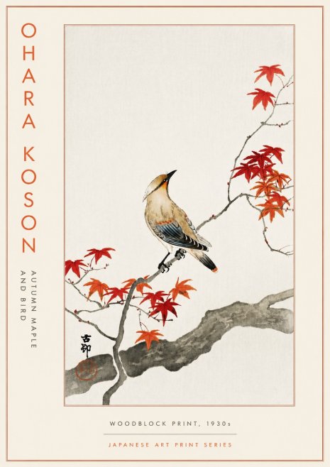 Ohara Koson Autumn Maple and Bird No5 - Affiche