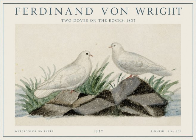 Ferdinand von Wright Two Doves on the Rocks, 1837 No1 - Affiche