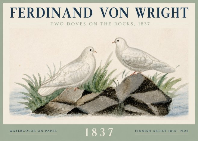 Ferdinand von Wright Two Doves on the Rocks, 1837 No3 - Affiche
