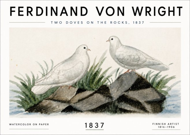 Ferdinand von Wright Two Doves on the Rocks, 1837 No6 - Affiche
