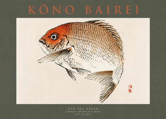 Kōno Bairei Red Sea Bream No2 - Affiche