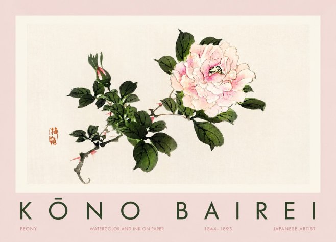 Kōno Bairei Peony I No2 - Affiche