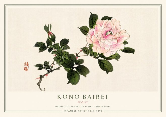 Kōno Bairei Peony I No3 - Affiche