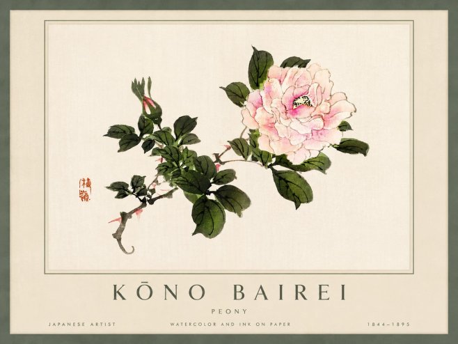 Kōno Bairei Peony I No4 - Affiche