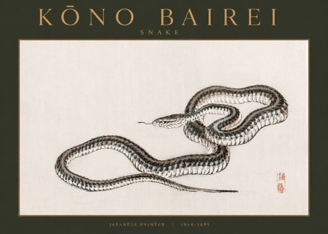 Kōno Bairei Snake No3 - Affiche