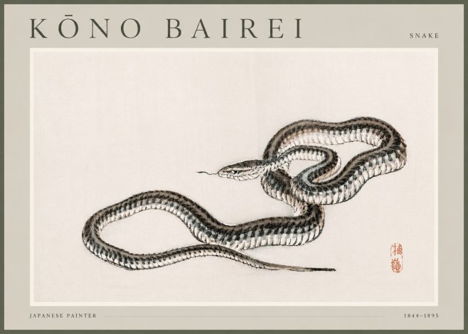 Kōno Bairei Snake No4 - Affiche