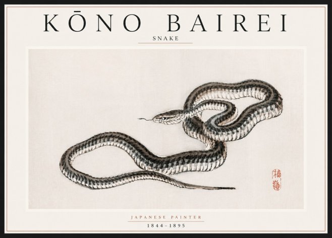Kōno Bairei Snake No5 - Affiche