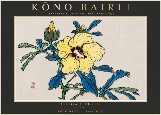 Kōno Bairei Yellow Hibiscus No5 - Affiche