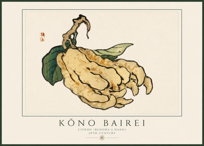 Kōno Bairei Citron (Buddha's Hand) No3 - Affiche