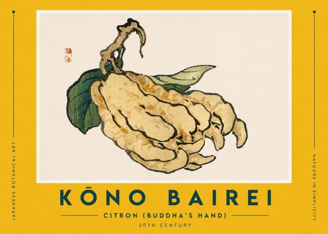 Kōno Bairei Citron (Buddha's Hand) No5 - Affiche
