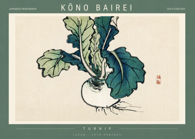Kōno Bairei Turnip No2 - Affiche