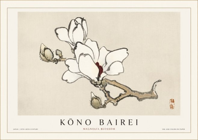 Kōno Bairei Magnolia Blossom No1 - Affiche