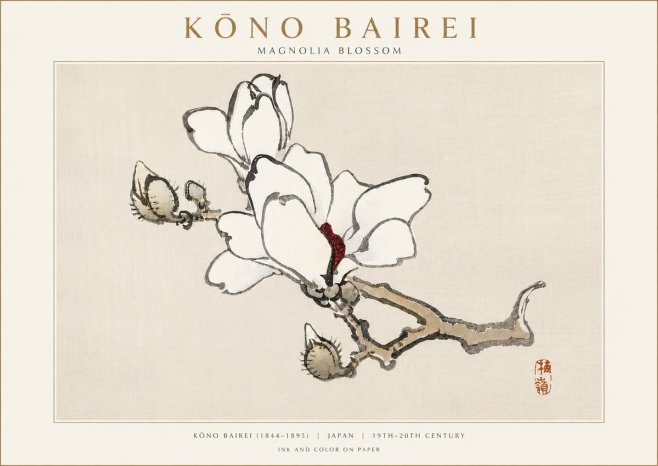 Kōno Bairei Magnolia Blossom No3 - Affiche