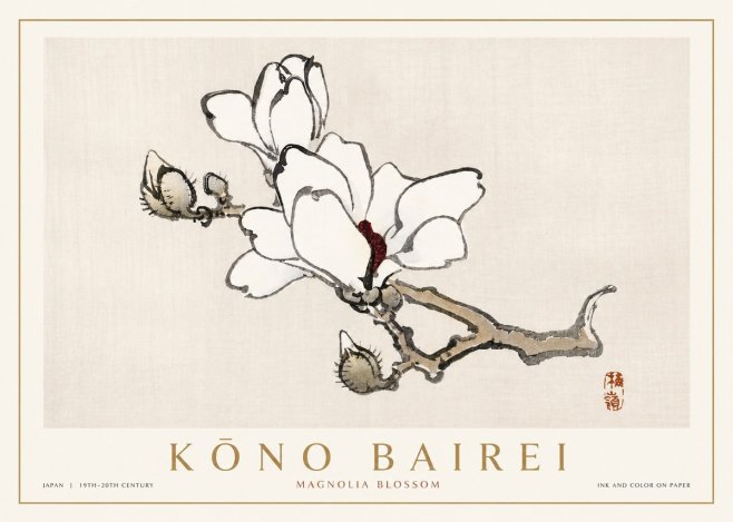 Kōno Bairei Magnolia Blossom No4 - Affiche