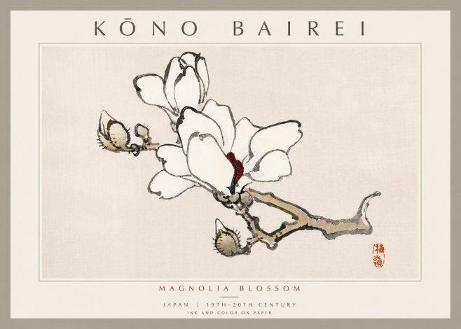 Kōno Bairei Magnolia Blossom No6 - Affiche