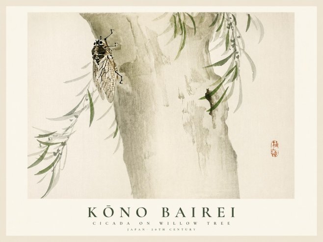 Kōno Bairei Cicada on Willow Tree No1 - Affiche