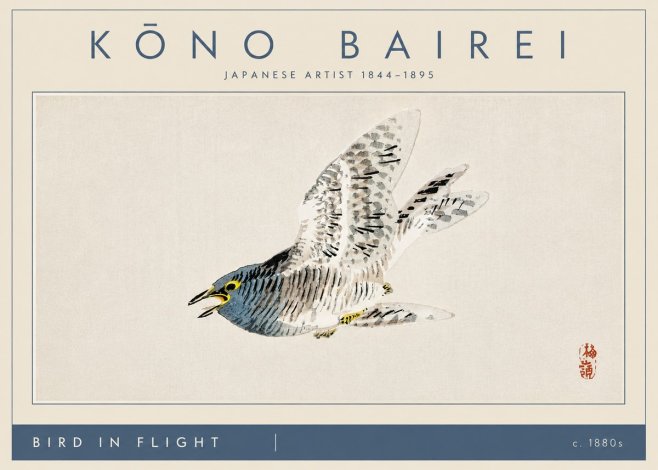 Kōno Bairei Bird in Flight No4 - Affiche