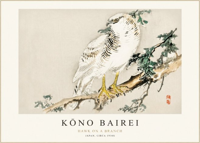Kōno Bairei Hawk on a Branch No1 - Affiche