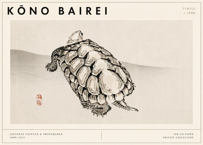 Kōno Bairei Turtle No3 - Affiche