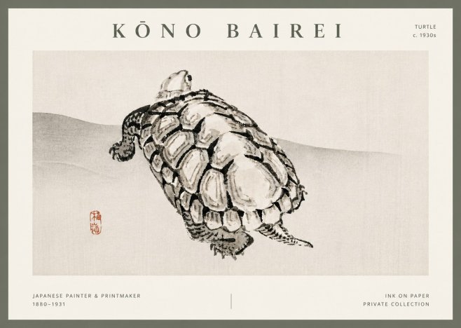 Kōno Bairei Turtle No5 - Affiche