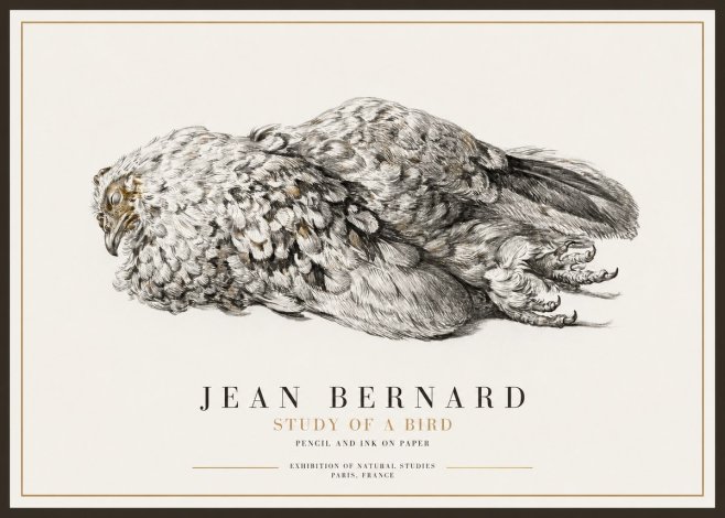 Jean Bernard Study of a Bird I No1 - Affiche