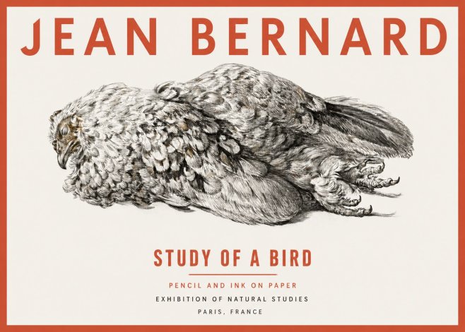 Jean Bernard Study of a Bird I No2 - Affiche