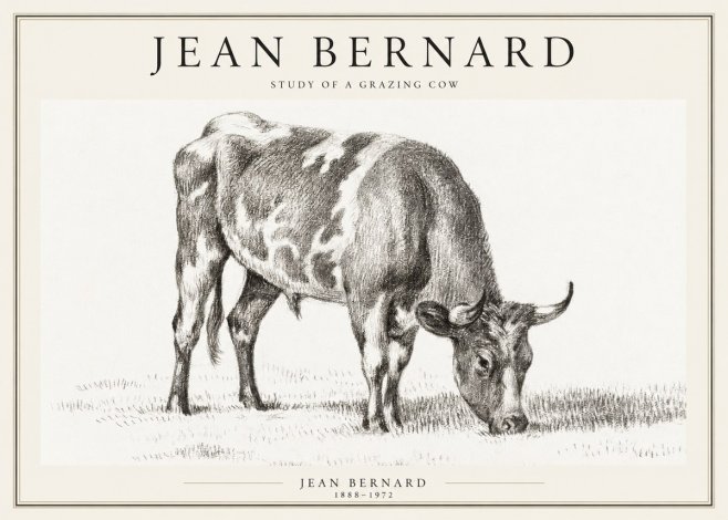 Jean Bernard Grazing Cow I No2 - Affiche
