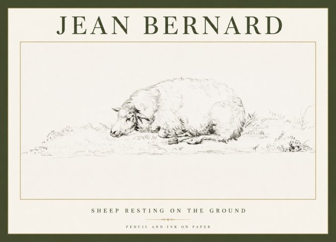 Jean Bernard Sheep Resting on the Ground No1 - Affiche