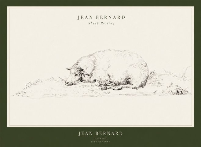 Jean Bernard Sheep Resting on the Ground No3 - Affiche