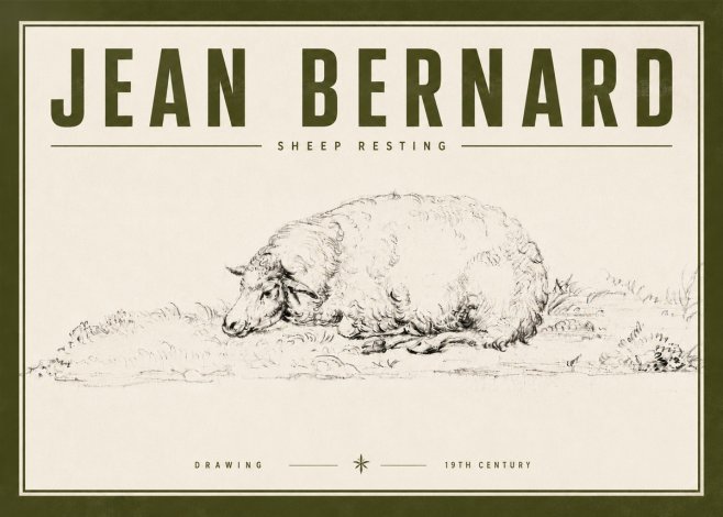 Jean Bernard Sheep Resting on the Ground No6 - Affiche