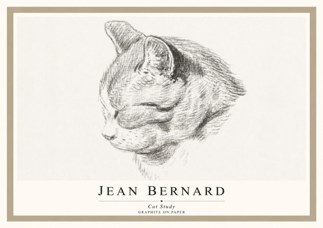 Jean Bernard Cat Study I No1 - Affiche